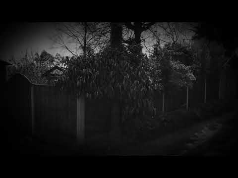 high spirits flute: Crow (G)440Hz medicine wheel