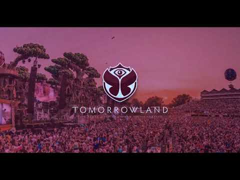 tomorrowland 2017 - beekz