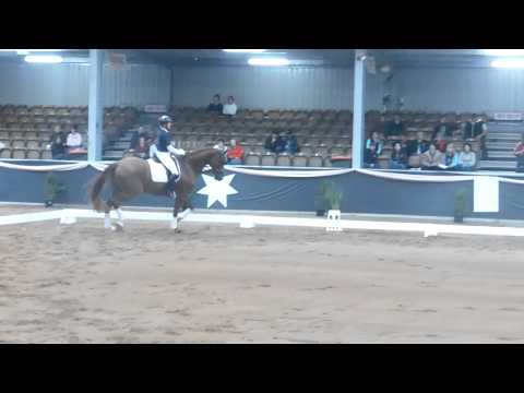 De Niro's Dreamtime at Dressage with the Stars 2011 (Part 2)