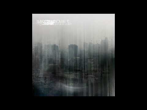 Misery Signals - Ebb and Flow