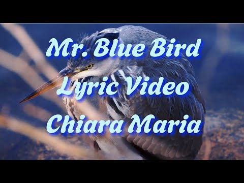 Mr. Blue Bird by Chiara Maria [Lyric Video]
