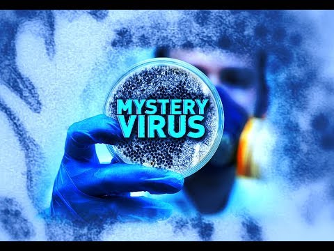 FULL MEASURE: June 4, 2017 - Mystery Virus