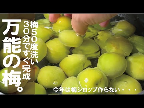 ３０分でもう完成【砂糖も塩も不要】今年の梅は全部これで冷凍しました。一番簡単で万能うめで長期間楽しむ