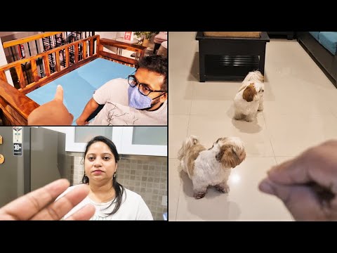 Furniture hunt for new house | Day started with a fight with husband Video