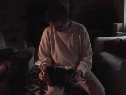 Three Polkas on English Concertina