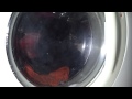 Zanussi WJS1665w Synthetics 40 3 4