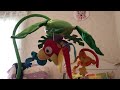 Móbile Musical Fisher Price Rainforest Peak A Boo Leaves