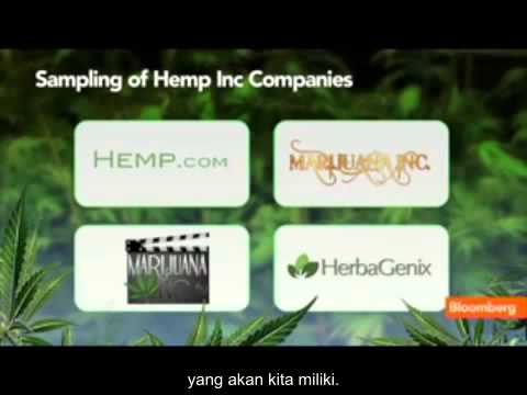 Agen hipertensi untuk potensi Iklan terhadap impotensi