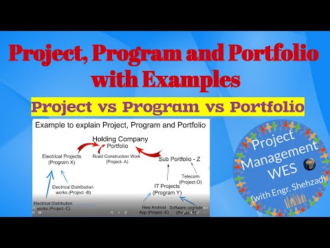 Project, Program and Portfolio with Examples, Project vs Program vs Portfolio, Project Management