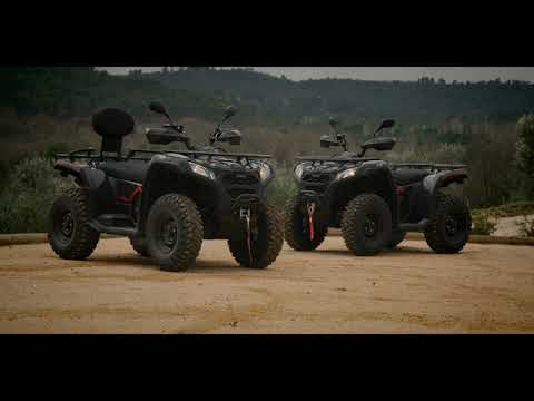 Goes TERROX 400L 400cc, квадроциклы