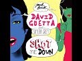 Shot Me Down David Guetta (Ft. Skylar Grey)