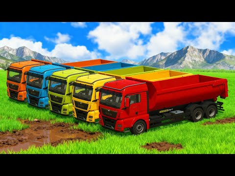 HARVEST & TRANSPORT SORGHUM, POTATOES AND BEET WITH MASSEY FERGUSON TRACTORS - FS25 🥔🌾🚜