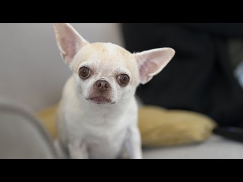 Ross Dean - Miss You