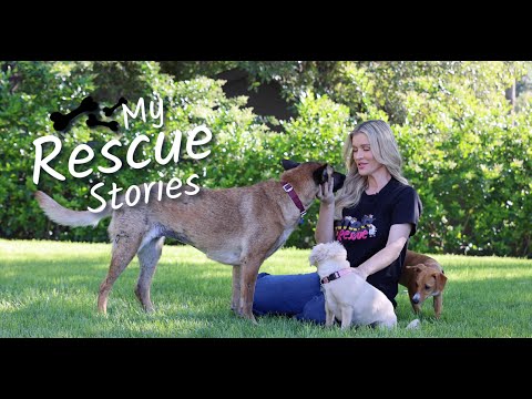 The Rescue Stories That Changed Joanna Krupa Forever | Street Rescue Special