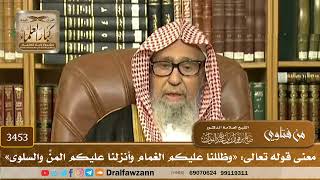 [3453] معنى قوله تعالى: «وظللنا عليكم الغمام وأنزلنا عليكم المنَّ والسلوى» - صالح الفوزان