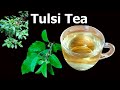 Tulsi tea recipe | Holy basil tea | Step by step - How to make Tulsi tea Recipe