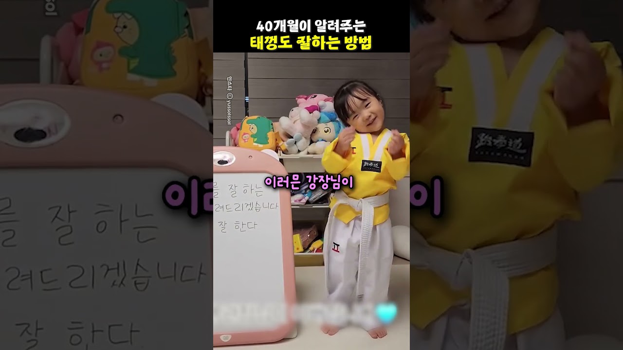 40개월이 알려주는 태껑도 잘하는 방법