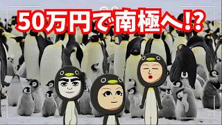 【トモコレ】50万円貯めて憧れのツアーへ！まさかの記念写真に爆笑「トモダチコレクションわくわく生活」#79