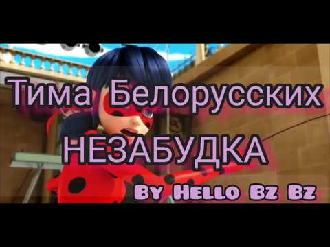 | незабудка| Тима Белорусских| клип Ледибаг и суперкот