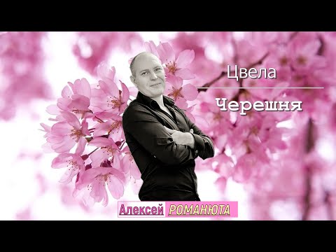 ✬ Алексей Романюта - Цвела Черешня ✬ ПРЕМЬЕРА 2024