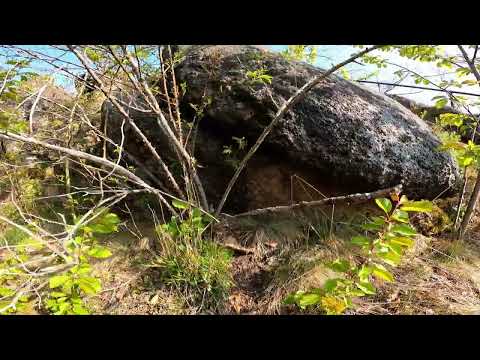 Wandern um Ilsenburg Teil 1 Ilsestein  Plessenburg Oberförster Koch Denkmal  ( HWN 30 7 25)