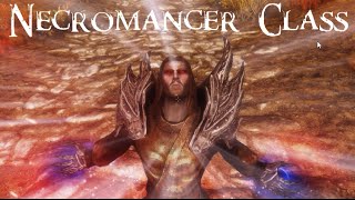Meet The Classes: Necromancer - Skyrim (Machinima)