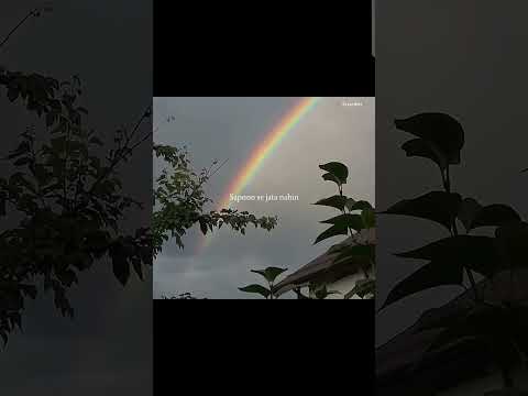 Finding Her – Kushagra ❤‍🩹💫 | Aesthetic Lyrics Video #shorts​ #song​ #lyrics​