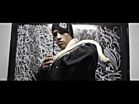 Perro Zw - Animal Planet (Video Oficial)