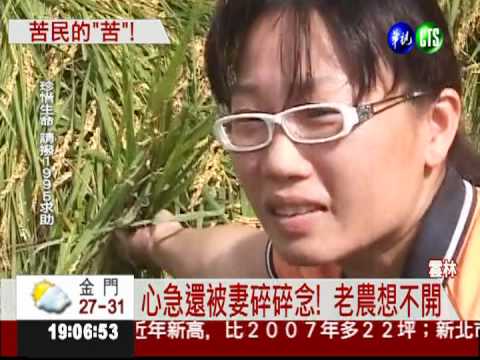 搶收泡水稻作 中南部"割稻機荒"