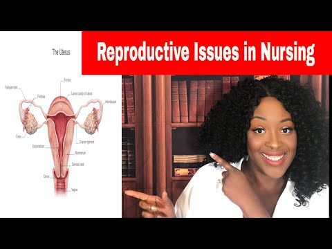 Reproductive Issues in Nursing