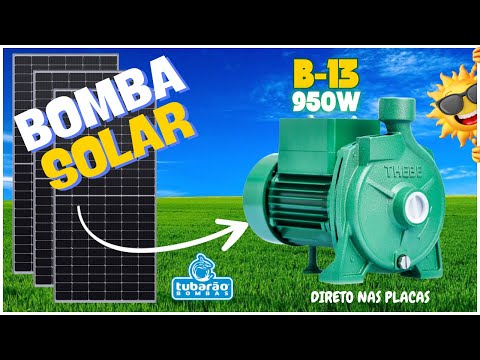 Bombeo Solar Fotovoltaico de Agua: Cómo hacer Sistemas de Bombeo de Agua con Energía Solar FV para Pozos Profundos, Estanques, Arroyos, Lagos y Corrientes (Spanish Edition) video review thumbnail