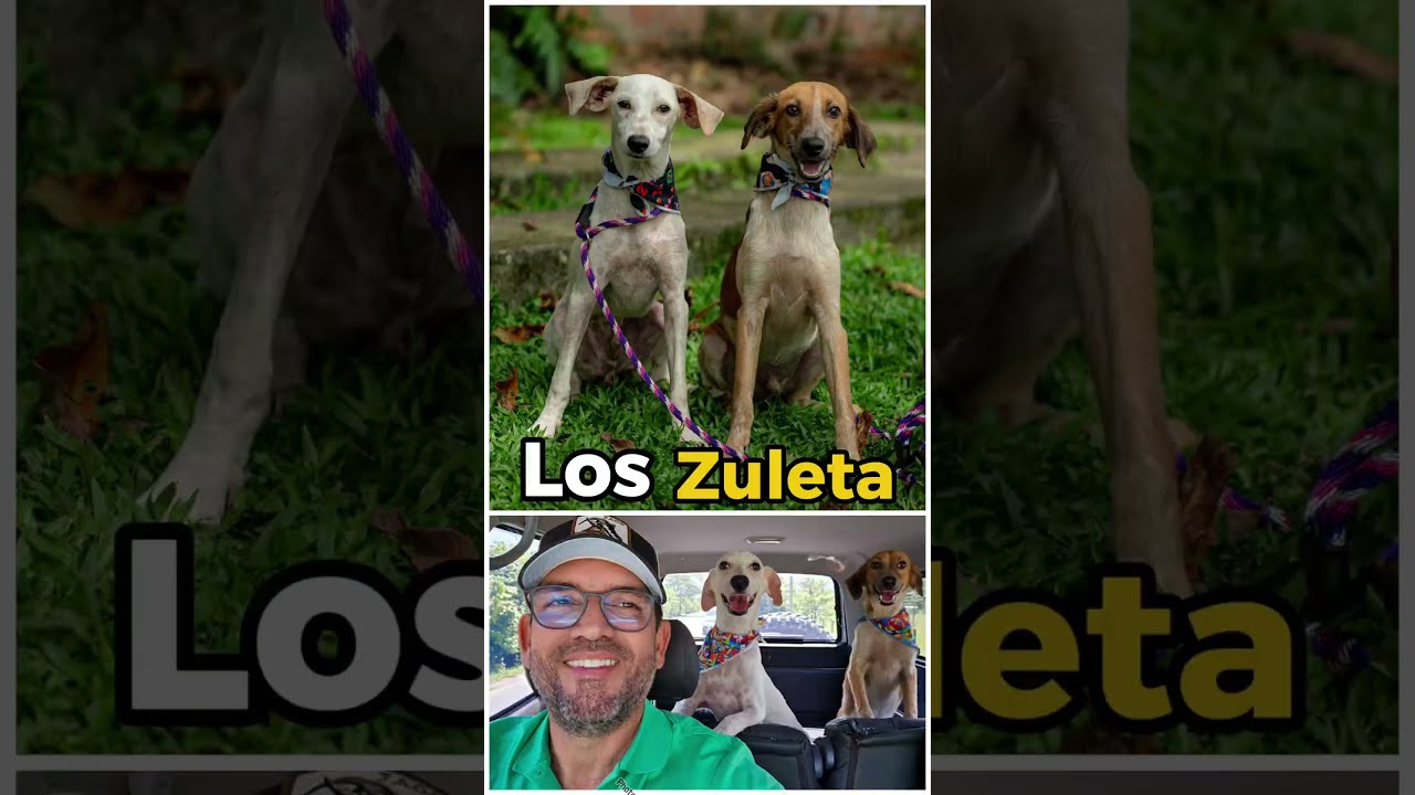 Los Zuleta