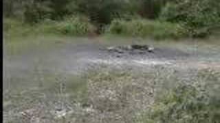 Devil's Tramping Ground