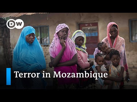 恐怖分子在莫三鼻克北部砍下兒童頭顱 - DW新聞 (Terrorists behead children in northern Mozambique | DW News)