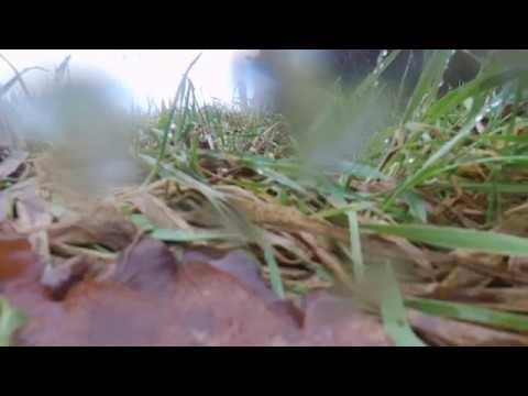 dronevlucht in de kogelvanger