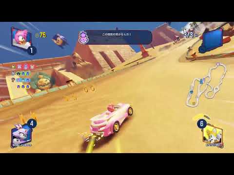 エミーレーシング13日目[チームソニックレーシング]