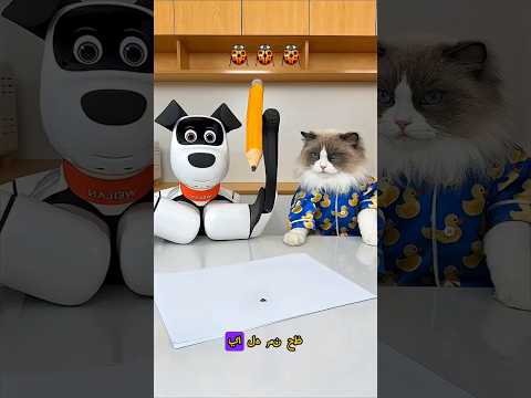 العنوان: فشلت خطة تشينتو، والحشرة طلعت أذكى منه! 😂🔥 #shorts #viral