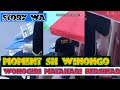 STORY WA ️PSHW WONOGIRI MATAHARI BERSINAR