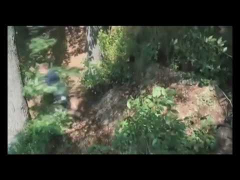 Інтерв'ю з акторами