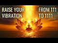 111 222 333 444 555 666 777 888 999 1111 Angel Frequencies 🪽 Raise Your Vibration