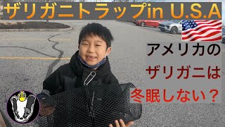 ザリガニトラップ in U.S.A　真冬でも入るのか？