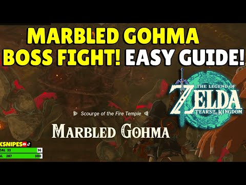 Zelda Tears Of The Kingdom | Marbled Gohma Boss Guide | EASY | No Commentary!