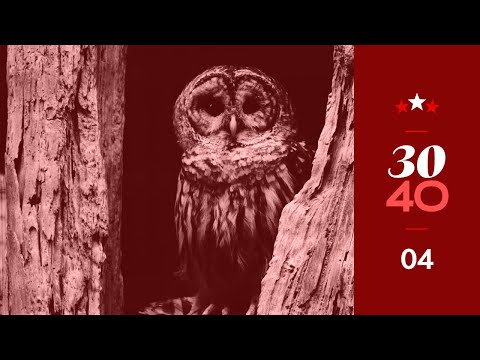 Liberty ｜ LoFi House & Deep House Mix 2019