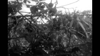 Emile Hayne ft Lykke Li and The XX - Come find me