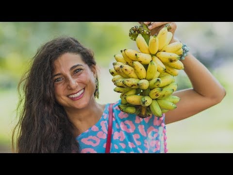 download lagu mp3 mp4 Raw Vegan Travel Food, download lagu Raw Vegan Travel Food gratis, unduh video klip Raw Vegan Travel Food