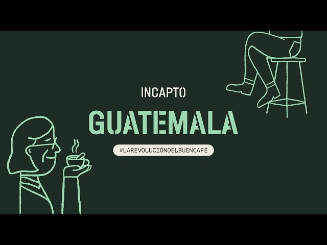 Vídeo relacionado con Incapto Café en Grano de Especialidad 1kg | Origen Guatemala | 100% Arábica | Specialty Coffee 86.25 puntos SCA | Tueste Natural y Artesanal | Finca Quetzaltenango, Mujeres de Chuva