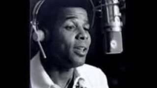 Oil Does Mix With Water - The Transgender Lites (2016) Guubu Records