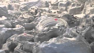 Ashfall Fossil Bed
