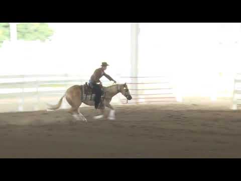 190816 Open Dean Brown on Absolute Gunner