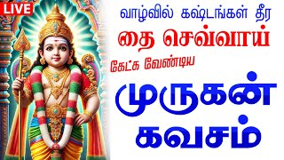 Download lagu 🔴LIVE SONGS | தை செவ்வாய்க்கிழமை சகல நன்மையும் தரும் கந்த சஷ்டி கவசம் Kanda Sashti Murugan Tamil mp3